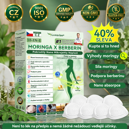Oficiální obchod  |👩‍⚕️𝗟𝘂𝘅𝗮𝗿𝗶𝘀𝗲® MORINGA X BERBERIN  10-IN-1 Pokročilý Nano Mikrojehly Náplast(Jedna náplast denně, viditelné změny již za 7 dní) ✅ Pomáhá při obezitě, cukrovce, spánkové apnoe, problémech s klouby a dalších potížích🌺